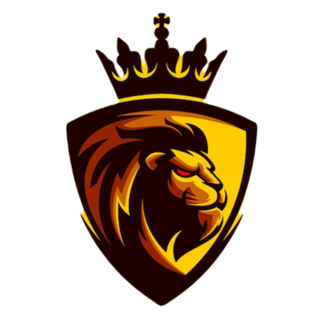 HyronMC Network
